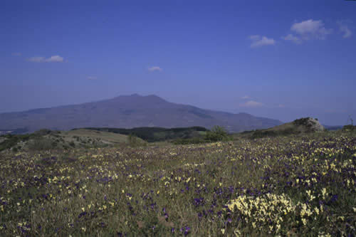 L'Amiata vista dalla Val D'Orcia